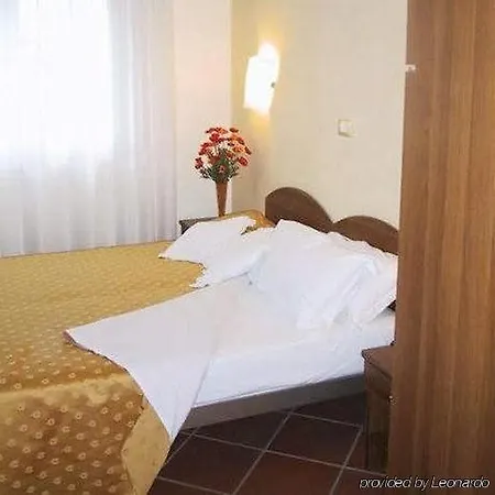 Hotel Selice Romagna 3*